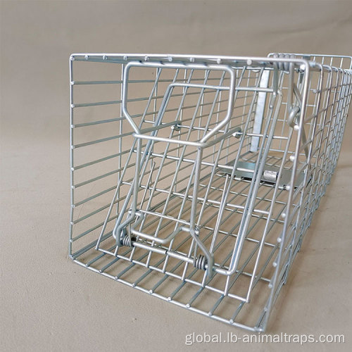 Small Animal Trap Cage Free Customized Logo Humane Mouse Trap Supplier